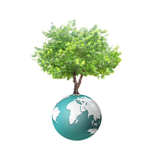 Imagem de uma planta sobre o planeta terra.