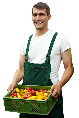 Imagem de um homem carregando frutas