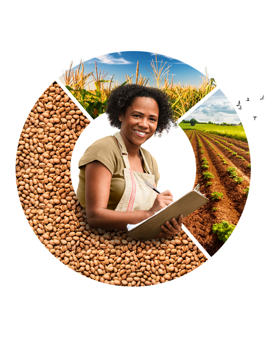 Crédito Custeio CAIXA<br>