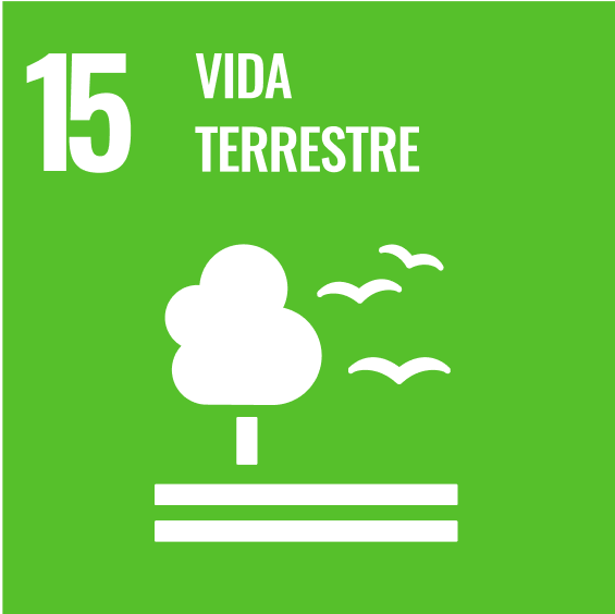 Vida terrestre